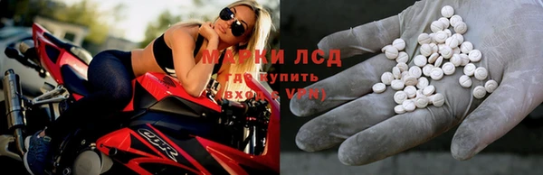 a pvp Богданович