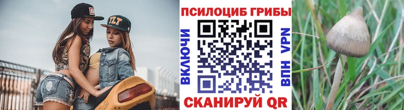Галлюциногенные грибы GOLDEN TEACHER omg ТОР Ува сколько стоит